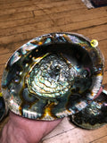 6Witch3 abalone shell #21