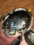 6Witch3 abalone shell #9