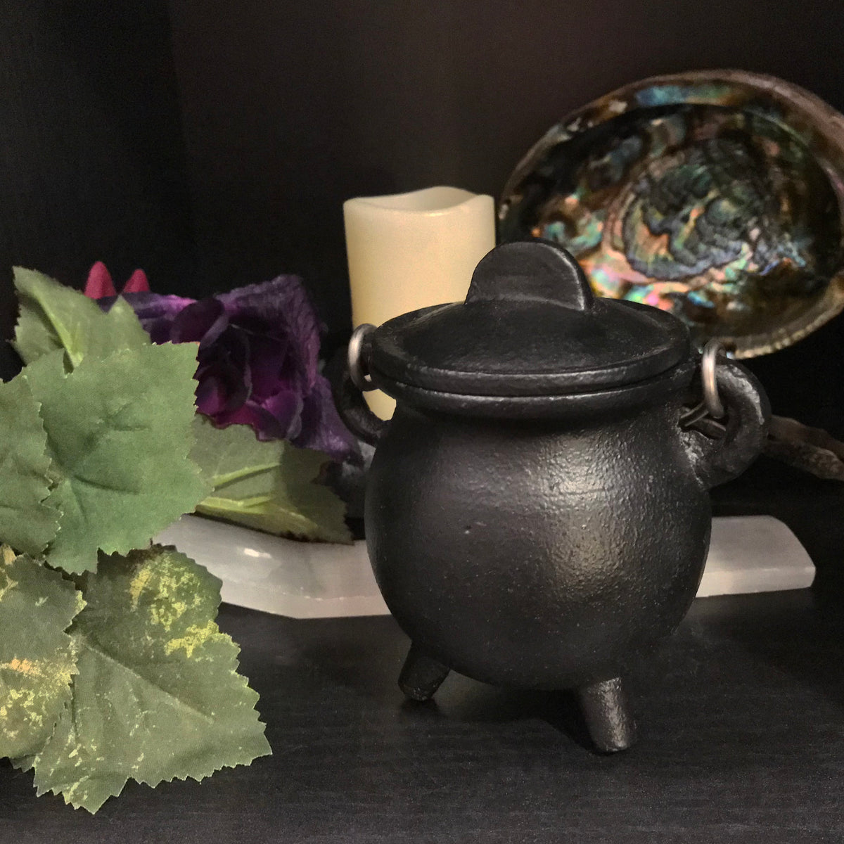 Small Cast Iron Cauldron with Lid – The Ninth House