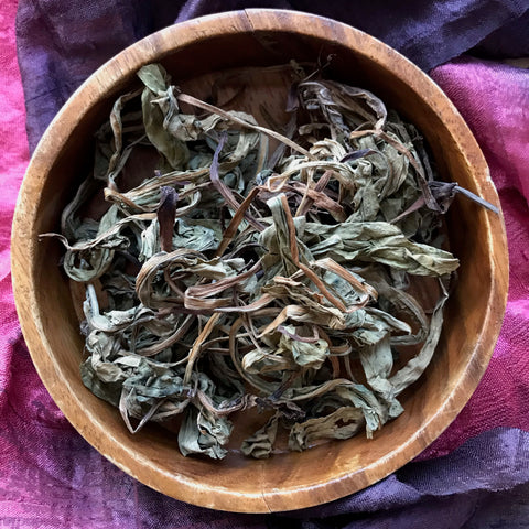 6Witch3 - Deerstongue shown in a bowl