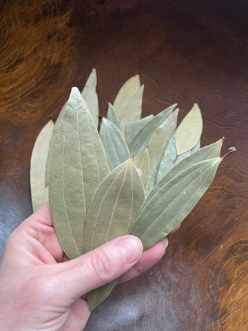 Bay Leaves for petitions and spell work