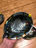 6Witch3 abalone shell #22