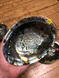 6Witch3 abalone shell #23