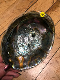 6Witch3 abalone shell #2