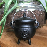 6Witch3 black iron cauldron with a pentacle shown next to a potted aloe
