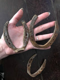 6Witch3 Used Horseshoes, two rusted horseshoes held in hand with a smaller horseshoe lying alone underneath on a background of dark wood