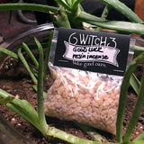 6Witch3 Good Luck resin incense packet displayed in a bowl of dirt with nearby aloe plants.