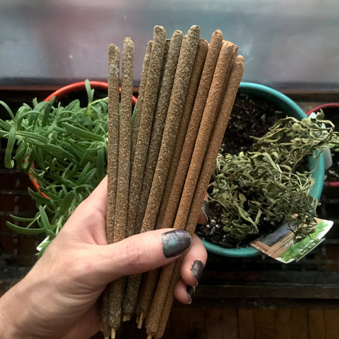 6Witch3 Hand-Rolled Resin Incense Sticks - a bundle of incense sticks held in hand above a pair of potted plants (rosemary and lavender)
