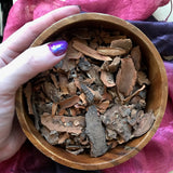 6witch3 Sassafras root bark pieces shown in a wooden bowl being held in hand.