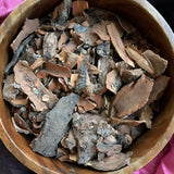 6Witch3 Sassafras Root Bark - shown in a wooden bowl