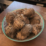 6Witch3 Rose of Jericho - a white and turquoise punchbowl piled high with Rose of Jericho plants.