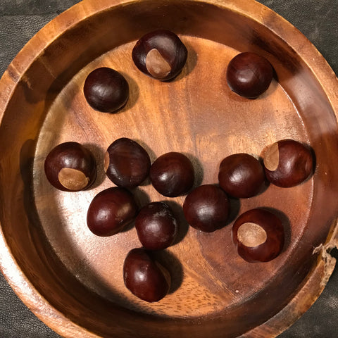 Buckeyes - Aesculus glabra - Horse Chestnuts