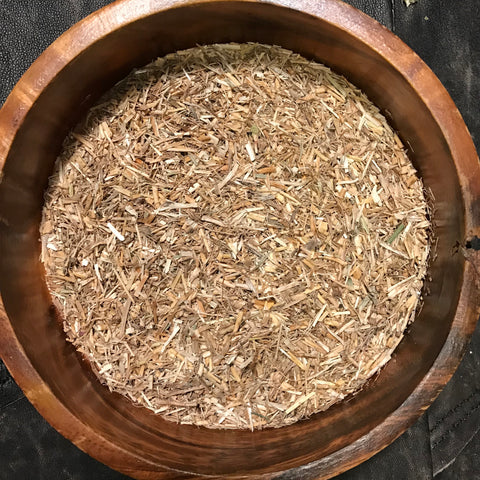Dog Grass Root - Triticum repens