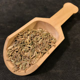 Fennel Seeds - Foeniculum vulgare