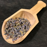 Lavender - Lavendula officinale - Lavendula angustifolia - English lavender