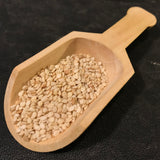 Sesame seeds - Sesame indicum